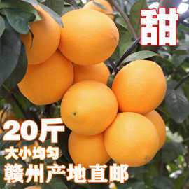 江西赣南脐橙产地直供现摘现发20斤橙子新鲜水果整箱源头工厂
