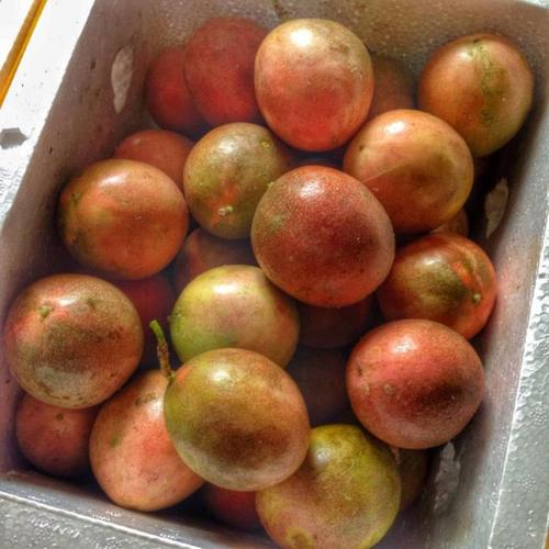新鲜现货水果百香果广西产地果园直发批发零售支持一件代发